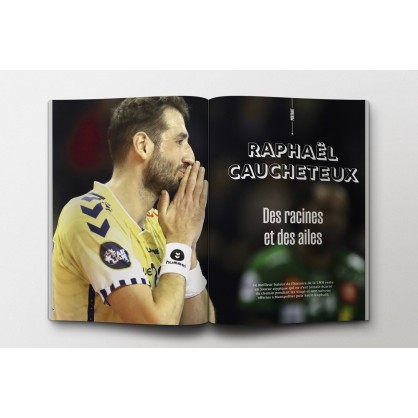 LNH – Le livre des 20 ans (132 pages)