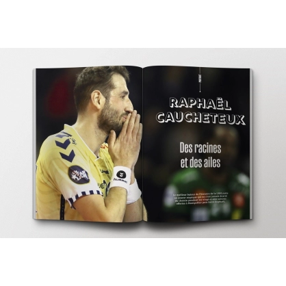 LNH – Le livre des 20 ans (132 pages)